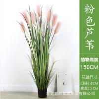 XU0613058